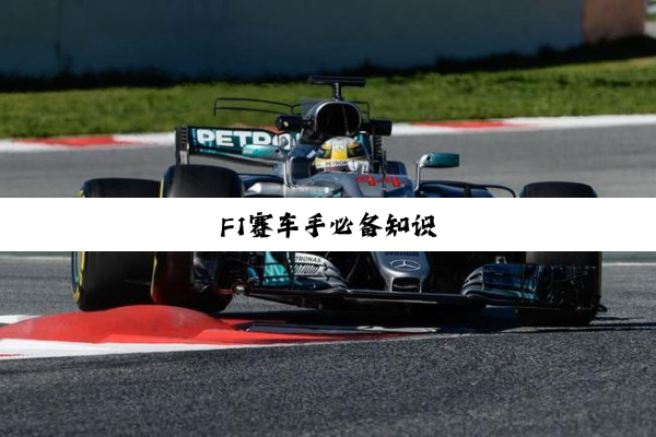 今日科普|F1赛车手必备知识