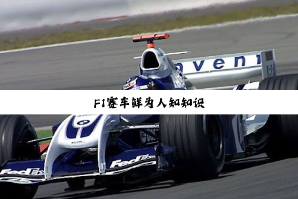 F1赛车鲜为人知知识