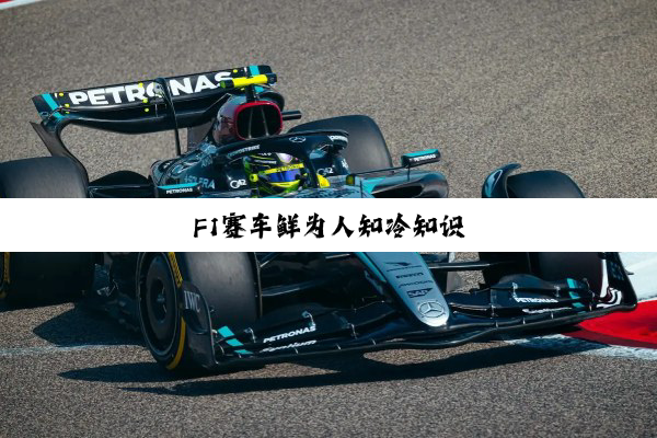 F1赛车鲜为人知冷知识