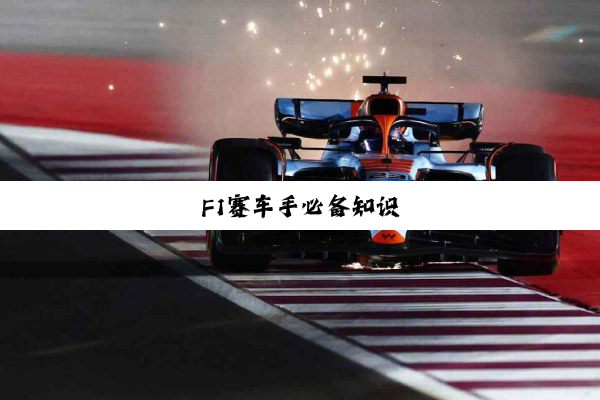 今日科普|F1赛车手必备知识